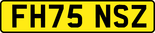 FH75NSZ