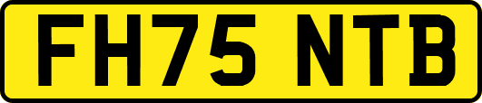 FH75NTB