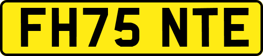FH75NTE