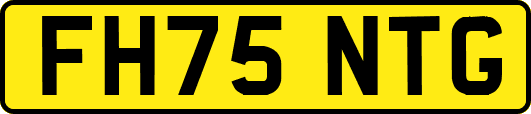 FH75NTG