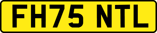 FH75NTL