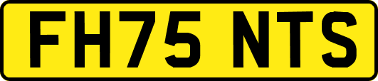 FH75NTS