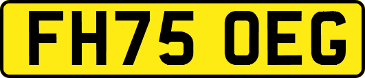 FH75OEG