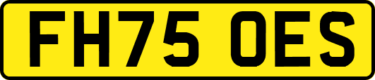 FH75OES