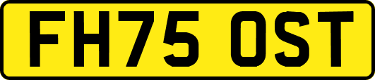 FH75OST