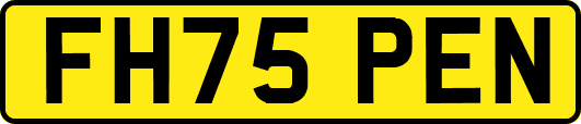 FH75PEN