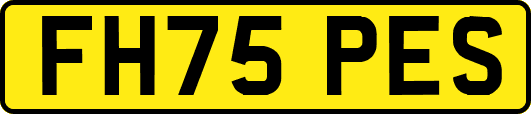 FH75PES