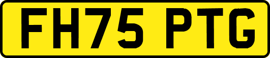 FH75PTG
