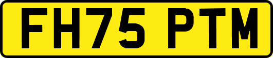 FH75PTM