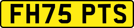 FH75PTS