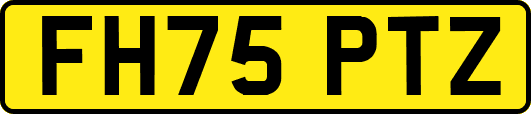FH75PTZ