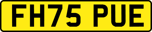 FH75PUE
