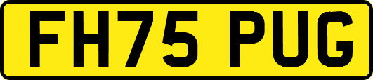 FH75PUG