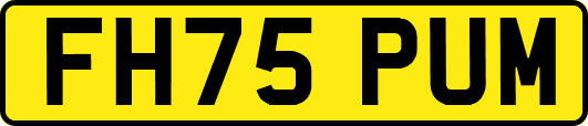 FH75PUM