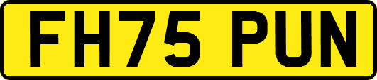 FH75PUN
