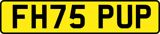 FH75PUP