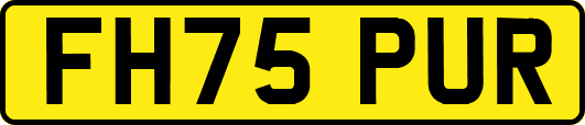 FH75PUR