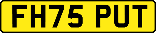 FH75PUT