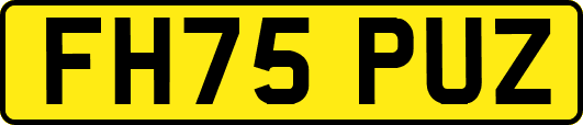 FH75PUZ
