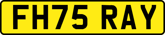 FH75RAY