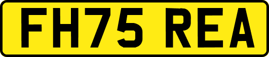 FH75REA