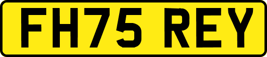 FH75REY