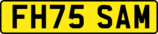 FH75SAM