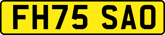 FH75SAO