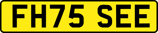 FH75SEE