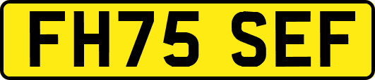 FH75SEF