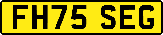 FH75SEG