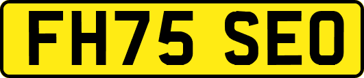 FH75SEO