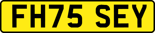 FH75SEY