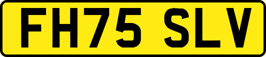 FH75SLV