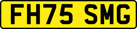 FH75SMG