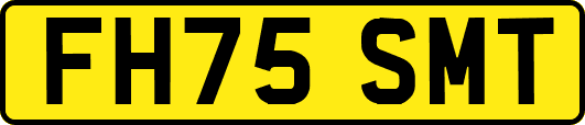 FH75SMT