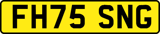 FH75SNG