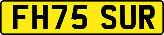 FH75SUR