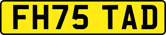 FH75TAD