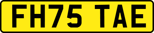 FH75TAE