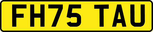 FH75TAU