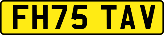 FH75TAV