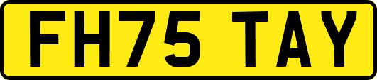 FH75TAY
