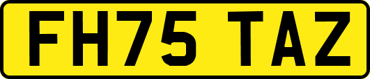 FH75TAZ