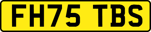 FH75TBS