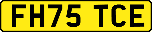 FH75TCE