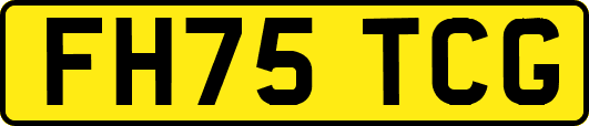 FH75TCG