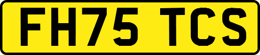 FH75TCS