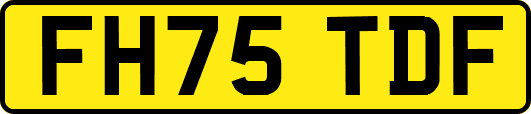 FH75TDF