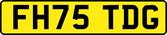 FH75TDG
